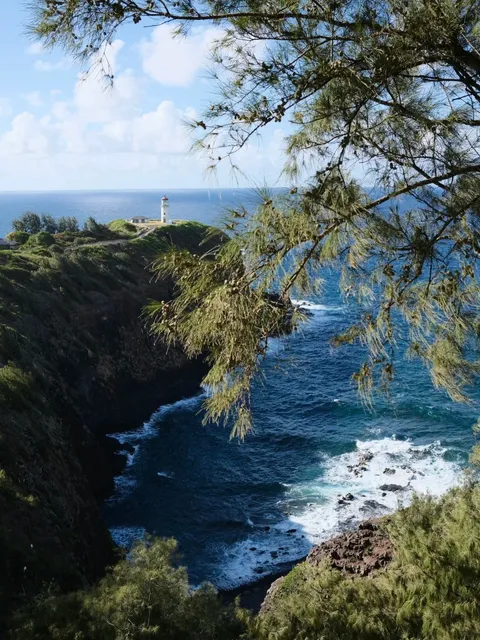 🇺🇸 The Most Beautiful Hotel in Hawai'i 🦕
