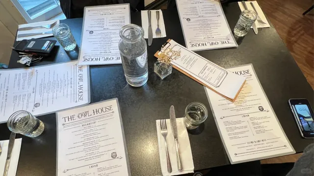 🇺🇸 Rochester Diner Review | The Owl House 🦉🍳