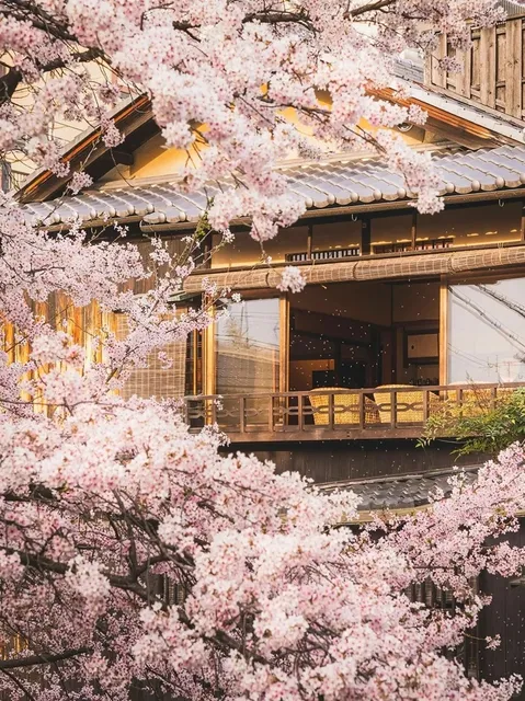 🌸 Kansai, Japan Private Custom Luxury Tour