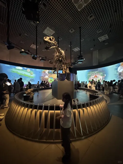 Beyond Disney, There's So Much More! 🌟