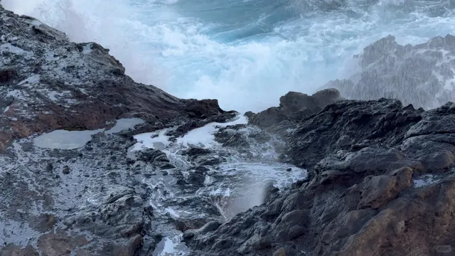 Can’t Get Over It! | Full Honolulu Guide 🤙🏼