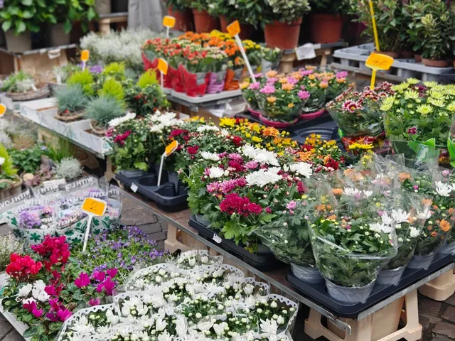 🇩🇪 Hidden Gems in Germany ✨