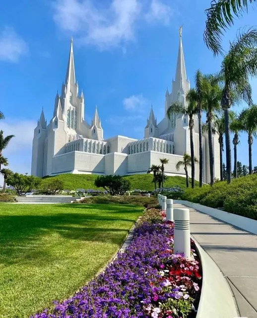 🇺🇸 San Diego Travel Check-in | Stop 3: Healing Moments ✨