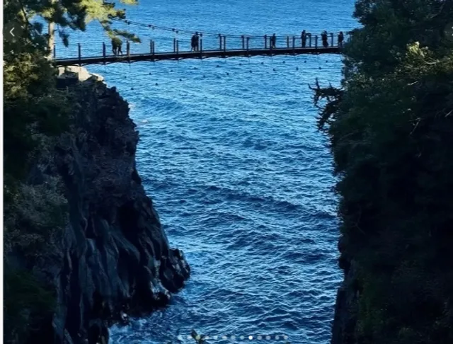 Izu Travel Itinerary Revealed! (2)🌸