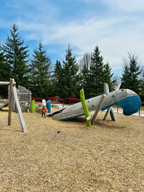🇨🇦 Forest-Themed Playground Gem in Newmarket! 🌳✨