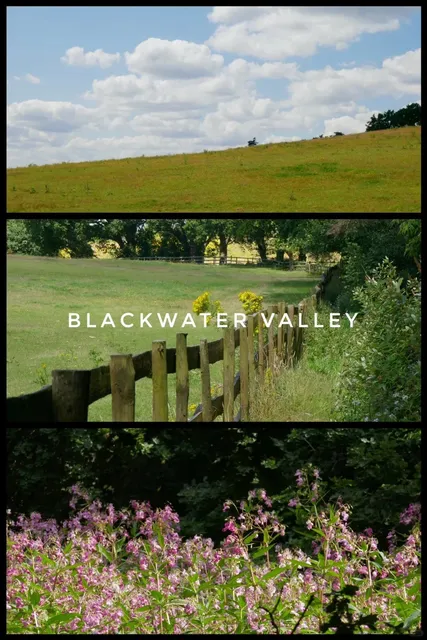 🇬🇧 Hiking Blackwater Valley (Reading) | A Birder’s Paradise