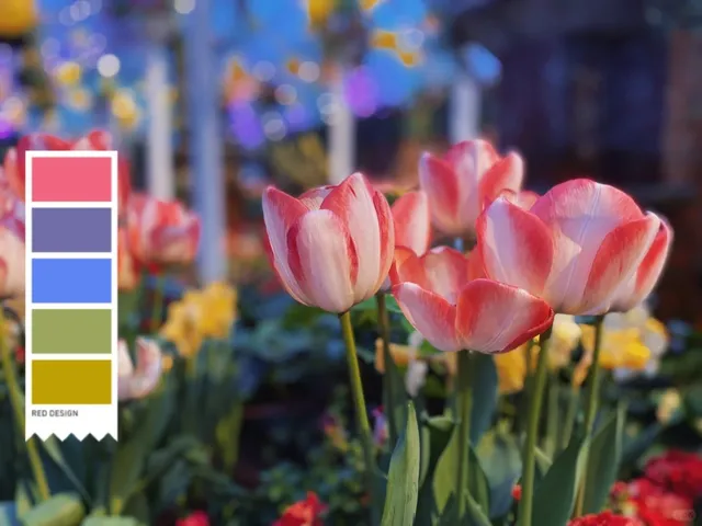 Spring in Pittsburgh (3) — Phipps Conservatory 🌸🌿