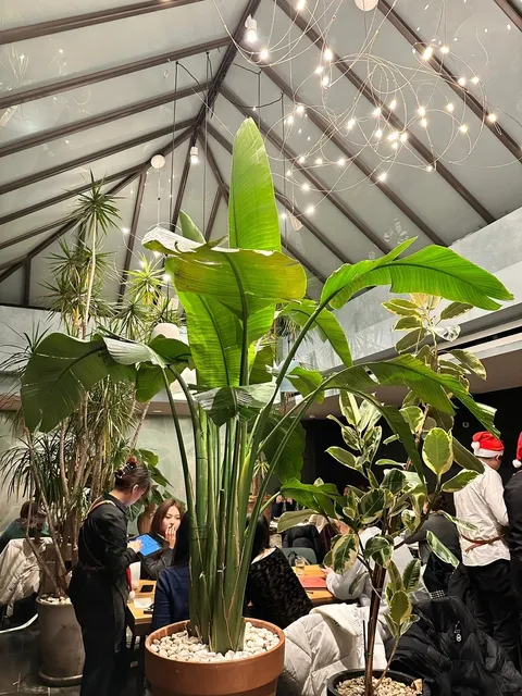 NYC | Dinner Last Night 🌟