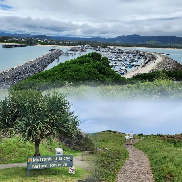 Coffs Harbour | A Coastal Paradise 4 Hours South of Brisbane 🌊🚗