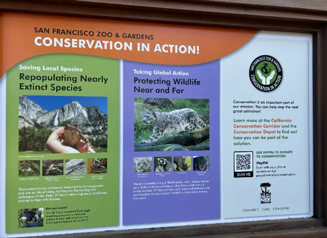 San Francisco Zoo: Where Wild Meets Wonder