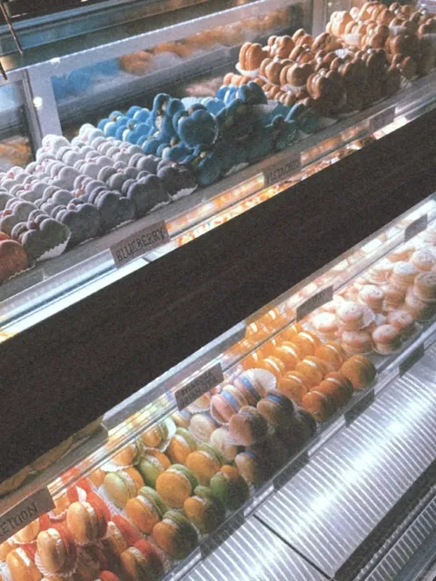 ATL's Dreamy & Not-Too-Sweet Macarons | The Cakeshop Review 🍰💖