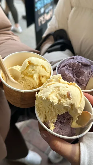 🇺🇸 Where to Go for a Long Weekend? Acadia National Park! ⛰️