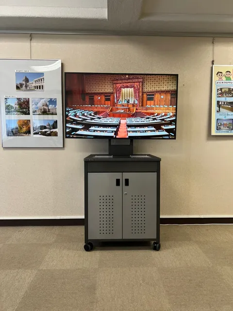  🚶‍♂️ Tokyo Walk Spots for the Discerning Traveler 🚶‍♀️