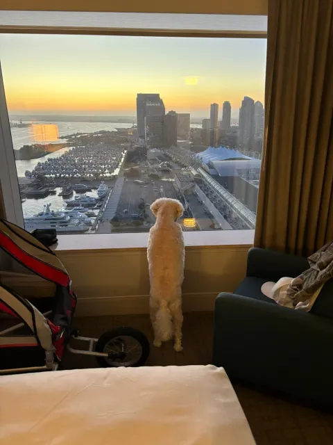 🌟 An Incredible Experience at Hilton San Diego Bayfront! 🏨