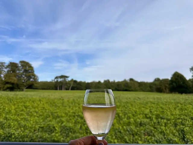 🇬🇧 A Weekend of Wine & Romance: Escape to Ashling Park Estate! 🍇🍷