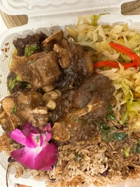 Dallas 🌴 Jamaican Food Truck Oxtail Rice Meal – Totally Worth It!