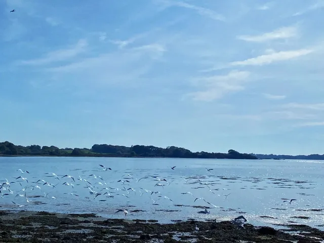 🌊 Study Abroad in France | Vannes Getaway