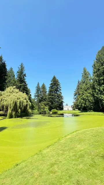 🌅 Seattle’s Enchanted Escape (Without the Ferry Fiasco) （1）