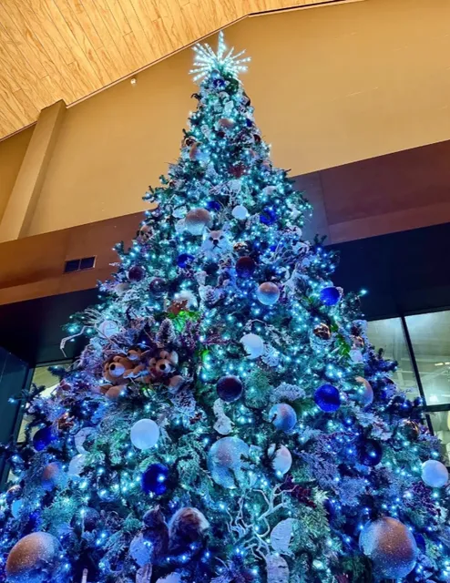 Dallas Restaurant Exploration —— Great Wolf Lodge 1