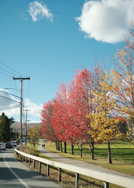  The Ultimate Fall Foliage Road Trip Through New England's Color Capit