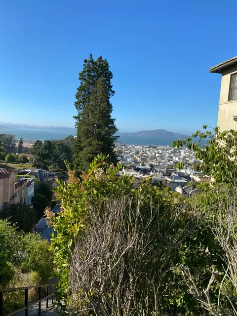 Hidden Gem in SF's Elite Neighborhood: The Lyon Street Steps 🌿✨