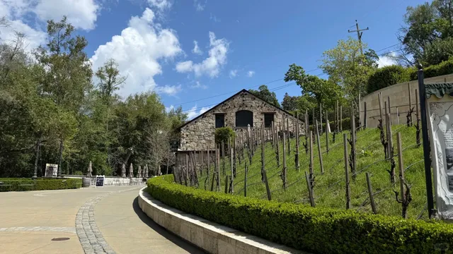 California’s Underrated Wine Country Gem