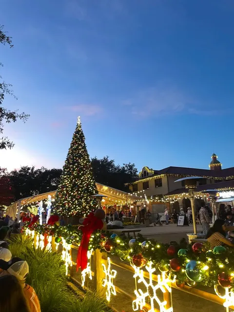 📍 McKinney Downtown｜A Rainy Night Christmas Tree Memory 