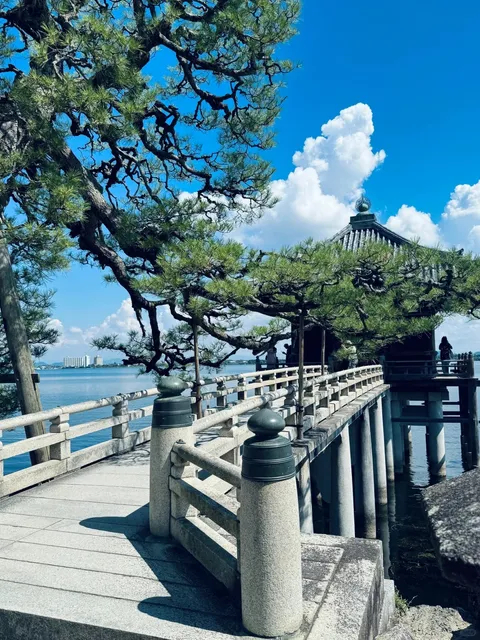 🎉 Osaka and Kyoto In-Depth Tour (1) 🌸🍃