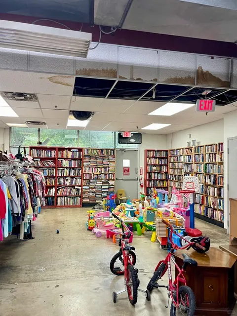 Cincinnati Daily｜Thrift Store Adventure 🛍️♻️