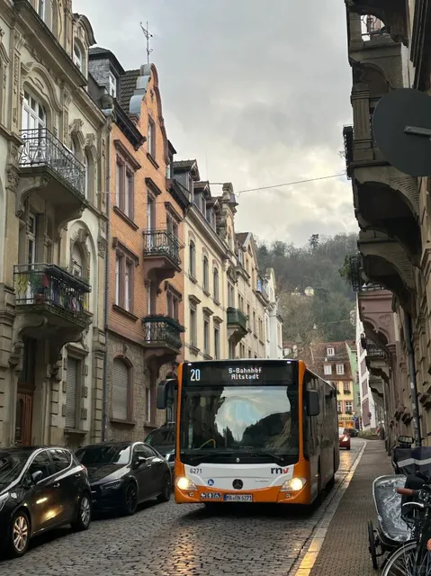 🇩🇪 4 Days in Heidelberg: A Love Letter to Goethe’s Favorite Town