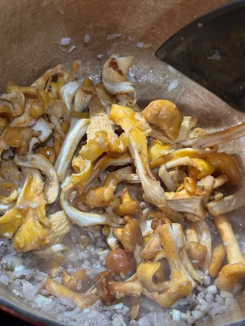 Philadelphia Dim Sum Review | Dim Sum House by Jane G’s