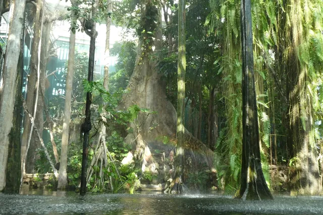 Barcelona CosmoCaixa Science Museum 🌐🔬