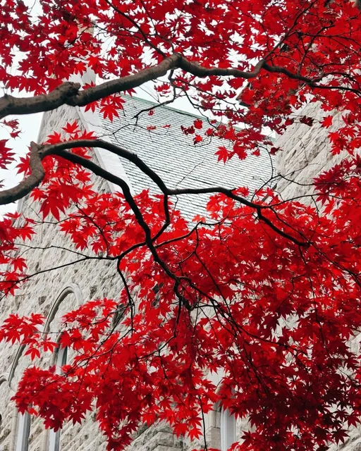 An Autumn Day in Rochester