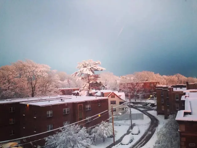 Fun, Scenic, and Instagrammable Spots in Boston, USA