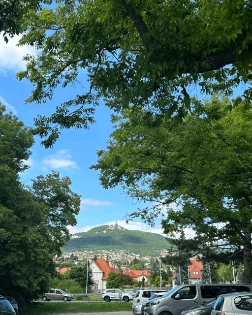 Work and See the World—Slovakia, Nitra 🇸🇰