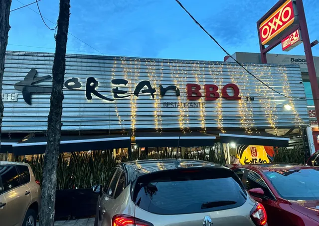  Seoul Garden BBQ - Guadalajara's Most Authentic Korean Grill