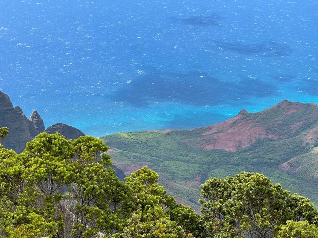  12-Day Hawaii Family Trip | Cost Breakdown for 4 People