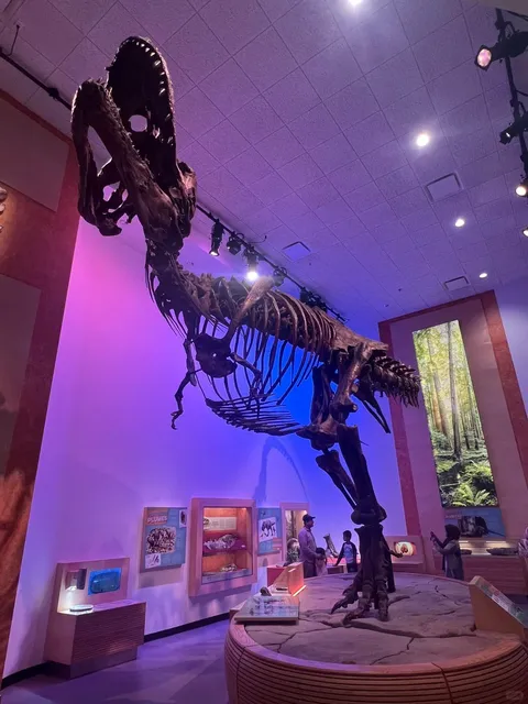 🌍 Exploring Saskatchewan’s Natural & Cultural Treasures