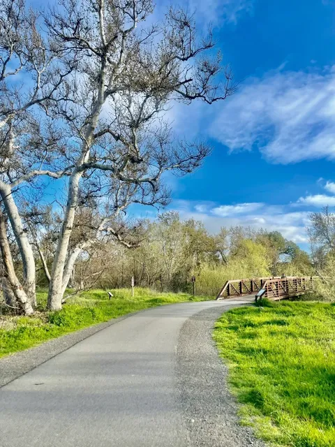 A Perfect Spring Hike Near SF: Hug Trees & Chase Wildflowers!🌳🌸