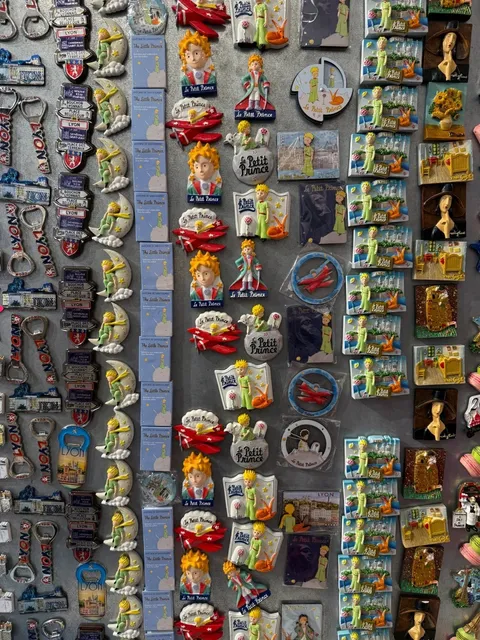 🇫🇷 Lyon Travel Guide: In the Footsteps of The Little Prince ✨🌹