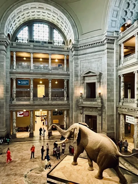 These attractions in Washington DC truly live up to their reputation 