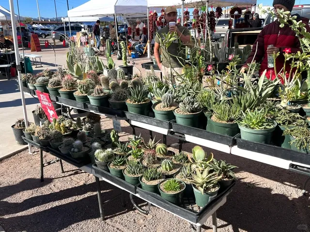 🌾 Tucson | The Must-Visit Weekend Farmers Market 🧑‍🌾
