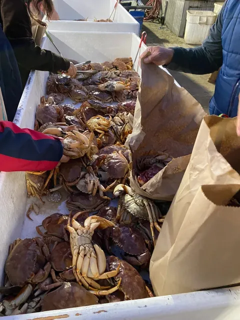 LA Seafood Market Visit｜Dory Fish Market 🐟🦀