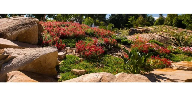 Prairie Landscape at Denver Botanic Gardens 🌾🏞️（2）