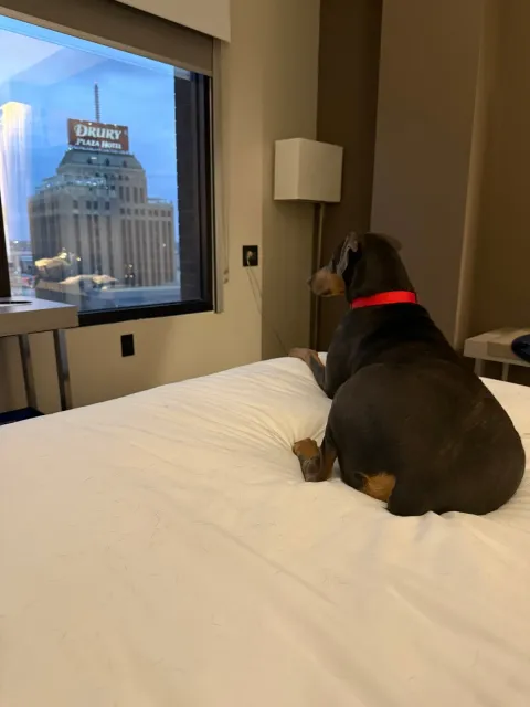 The Best Staff & Hotel Experience! 🏨❤️