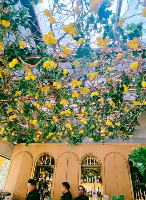 Mandolina Café | A Lemon Tree Oasis in Polanco