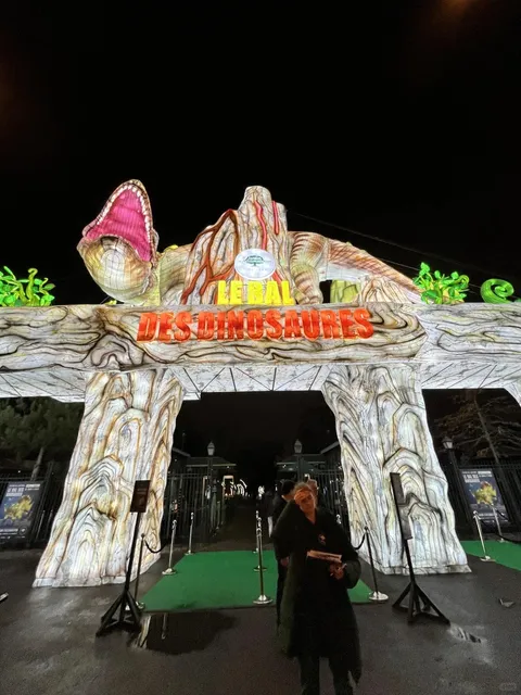 The lights of Paris have arrived as promised!