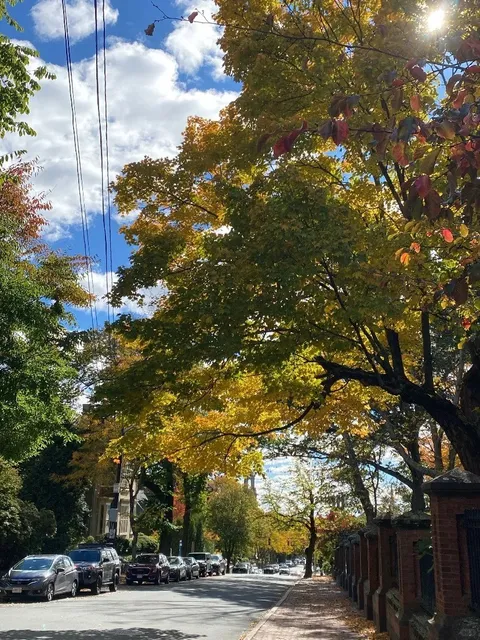 🚶♀️ Rhode Island Car-Free Day Trip Guide 🍂