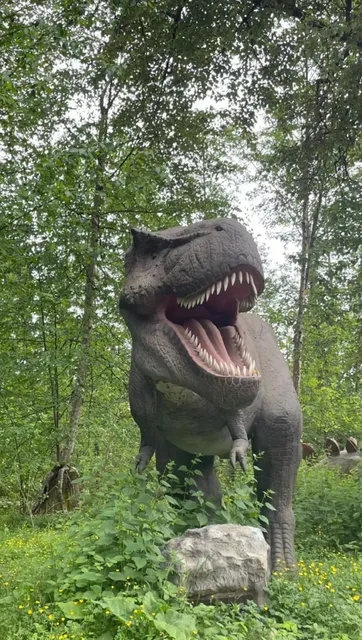 Vancouver | Step into the Kingdom of Nature: Explore the Greater Vancouver Zoo