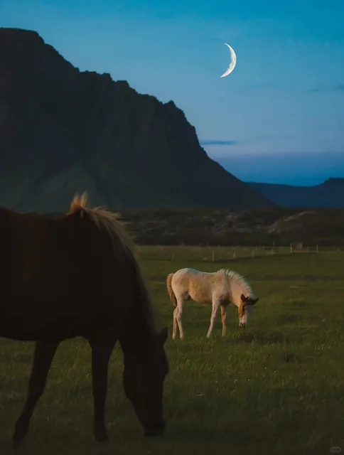 🇮🇸 Iceland | A Solitary Planet Under the Midnight Sun